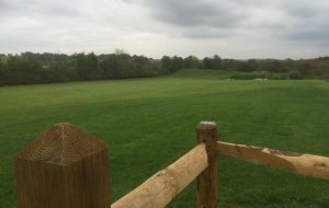 The centre features a 20x60m grass arena