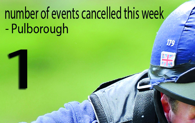 Gatcombe Horse Trials,Oliver Townend ,ODT Sonas Rovatio