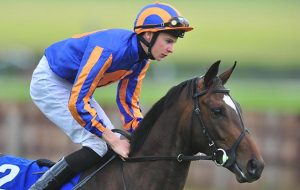 Joseph o'brien