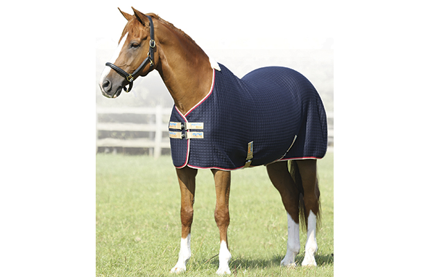 7 Cooler Rugs Your Horse Will Thank You For Ing Hound 1 Premtex Cooler Navy Grant