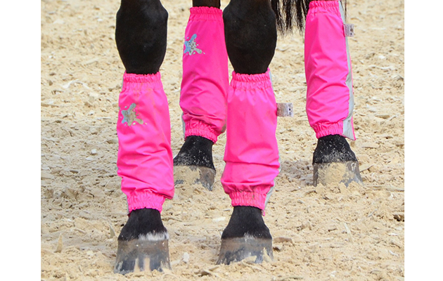 10. Pink Golly Galoshes photo Throughbred Sports Photography