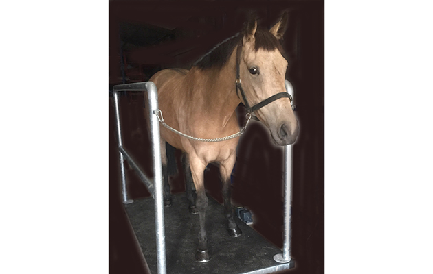 11. activo-med combi floor3 [1]