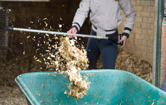 mucking out a stable with shavings bedding and rubber matting on a concrete floor