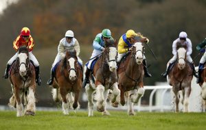 Ian Popham, Andrew Thornton, Nick Scholfield, James Best, Hadden Frost and Sam Twiston-Davies were onboard the heavy horses