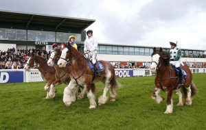 Exeter Races 221115