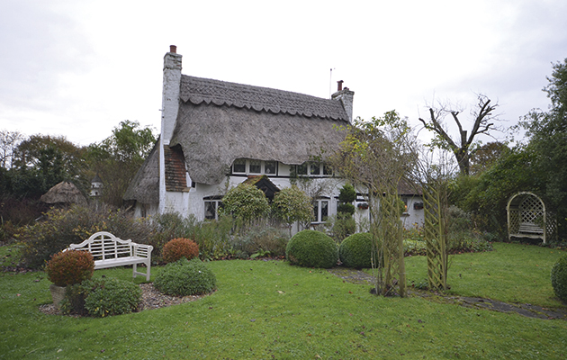 FOXGLOVES property 26nov