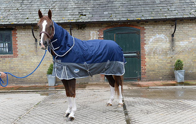 Review of Turn-out rugs; Rug No5, Weatherbeeta, at Wild Farm Equestrian, near Watford in Hertfordshire, UK on 1st September 2015