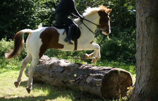 Screen Shot 2015-11-10 at 15.07.30