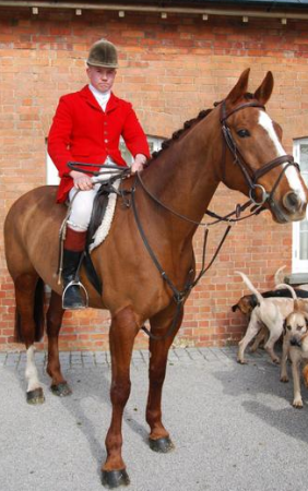 Screen Shot 2015-11-10 at 15.19.42