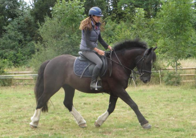 Screen Shot 2015-11-10 at 15.42.52