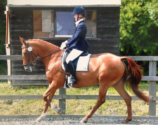 Screen Shot 2015-11-16 at 10.51.02