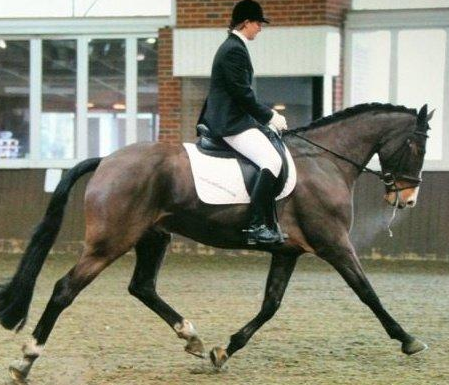 Screen Shot 2015-11-16 at 10.54.54