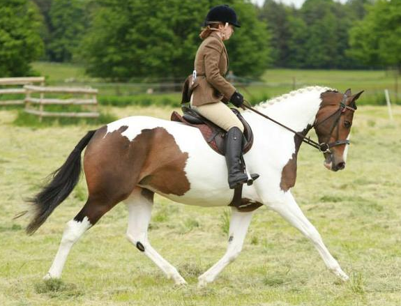 Screen Shot 2015-11-16 at 11.01.42