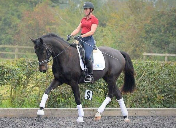 Screen Shot 2015-11-16 at 11.05.25