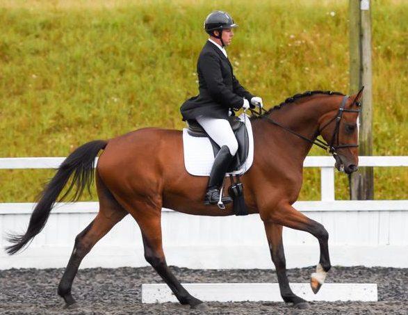 Screen Shot 2015-11-16 at 11.20.24