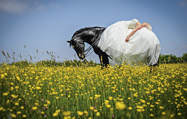 The Equestrian Bride
