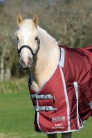 White Horse Guardian Electric Fencing