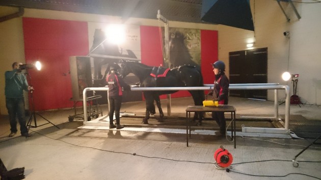 stroud hartpury treadmill