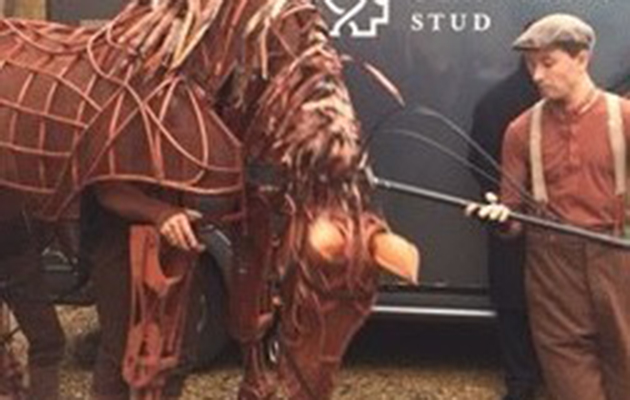 war horse01