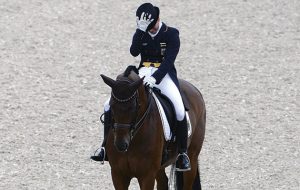 dressage rules