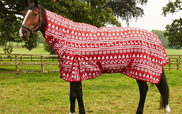 402-0356-–-Derby-House-Christmas-Rug