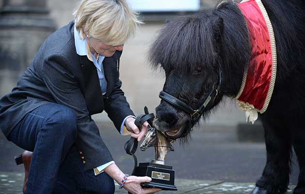 Helene Mauchlen of the British Horse Society presents Cruachan III with the Trophy. Shetland pony and former Royal Regiment of Scotland Mascot ‘Cruachan III’ was awarded the ‘Tarragon Trophy’ from The British Horse Society today at a special event held in Redford Barracks in Edinburgh. The ‘Tarragon Trophy’ is the British Horse Society ‘Equine Personality’ of the year award and is presented to horses or ponies that have contributed to the community, overcome hardship or deemed to have the personality worthy of the esteemed honour. Helene Mauchlen from the British Horse Society, said: “Every so often the BHS is privileged to meet an equine that has delivered untold benefit to humankind, and Cruachan is just that pony. “In his long life he has brightened the lives of so many people, from casual acquaintances at events, veterans and sick children and on top of that he does his day job of representing, inspiring and motivating our army. “He is a credit to all equines and an example of the untold good that horses and ponies provide. It is our pleasure and a privilege to present him with the Tarragon Trophy.” Shetland pony, Cruachan III, retired in 2012 at the age of 23 after nearly two decades of military service. For almost 17 years he took part in numerous military parades, Highland games and became a much loved addition to the cast of the Royal Edinburgh Military Tattoo. The endearing pony was also a personal favourite of Her Majesty The Queen and attended Balmoral Castle each year when she visited Scotland. Colonel Alastair Campbell, Regimental Secretary of The Royal Regiment of Scotland, said: “Cruachan III marched proudly with Scottish infantry soldiers on parade for 17 years, firstly with the Argyll and Sutherland Highlanders and then The Royal Regiment of Scotland. So we are extremely pleased that the British Horse Society has recognised his service drawing attention to the contribution of Scottish soldiers