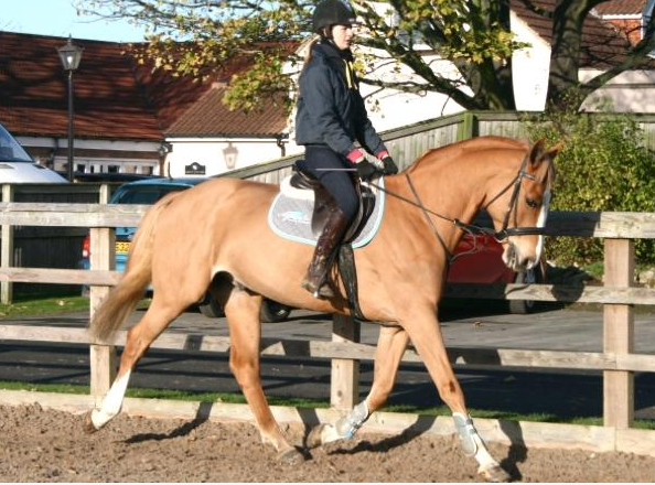 Screen Shot 2015-12-15 at 19.13.47