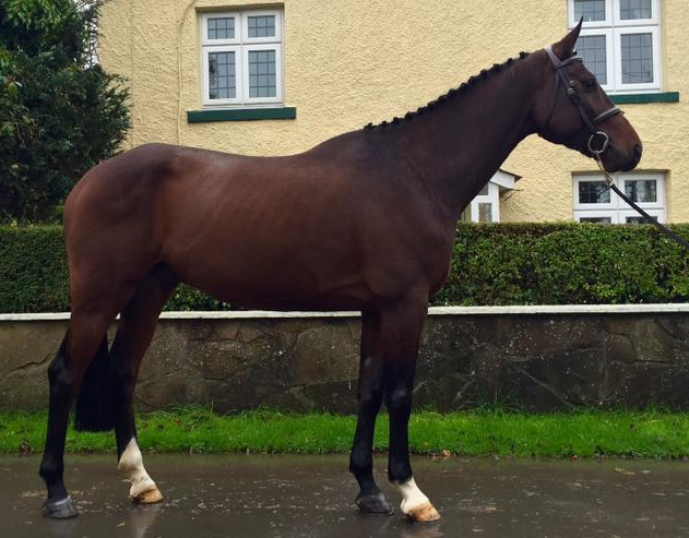 Screen Shot 2015-12-15 at 19.20.21