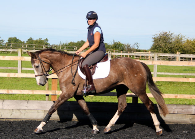 Screen Shot 2015-12-15 at 19.31.46