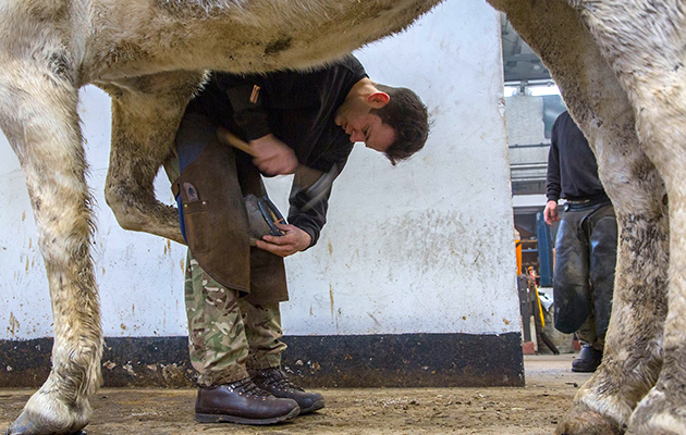 12622137_1030988440297968_966556779306502170_o