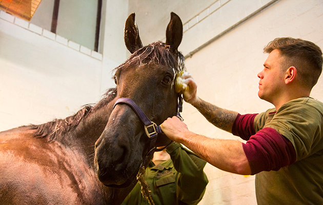 12622260_1030988480297964_3594893483946412318_o