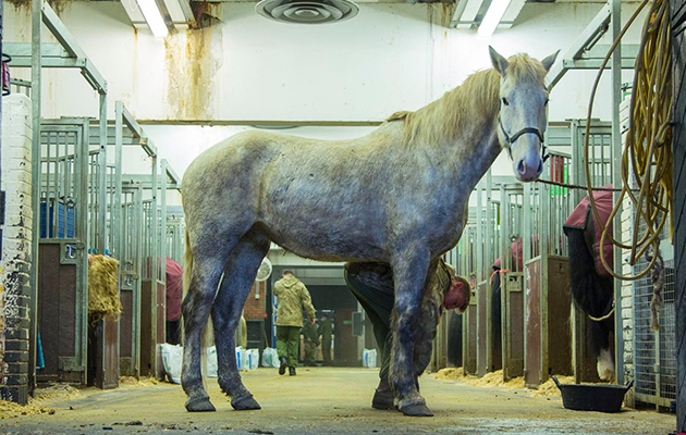 12640463_1030988593631286_3762012025556929586_o