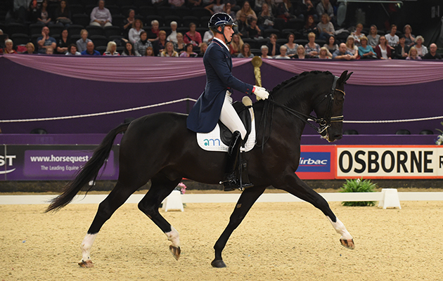 How to improve downward transitions AMD DON ROSSO II ridden by Matt Frost for Dedi Leech & Matt Frost during the Mount St John Dressage Future Elite Championship, during Horse Of The Year Show at the NEC Birmingham, West Midlands, UK between 07-11th October 2015