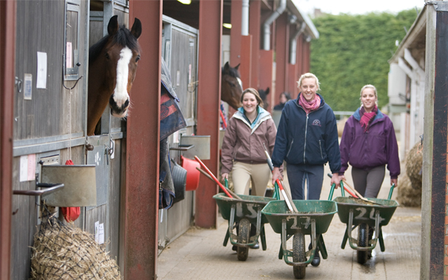 Ladies-pushing-wheel-barrows