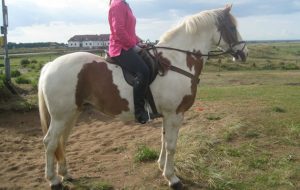 Mary pic for Arty Lobster