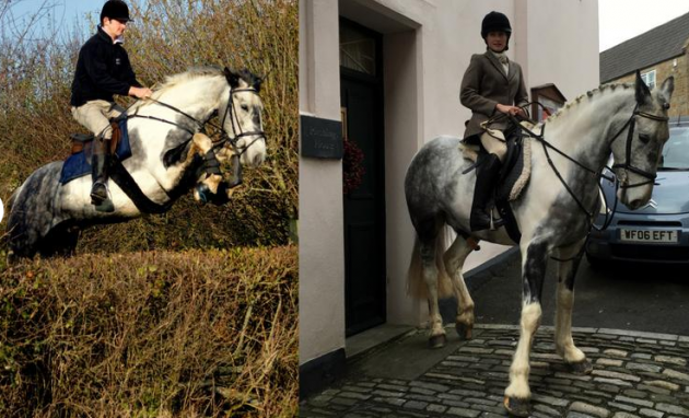 Screen Shot 2016-01-04 at 16.51.52