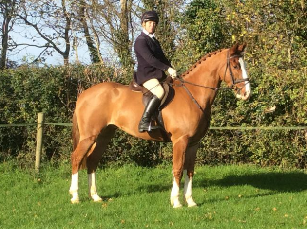 Screen Shot 2016-01-04 at 17.17.01