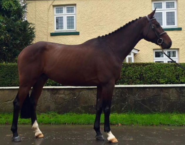 Screen Shot 2016-01-04 at 17.19.57