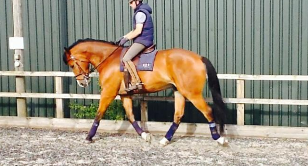 Screen Shot 2016-01-11 at 16.17.47