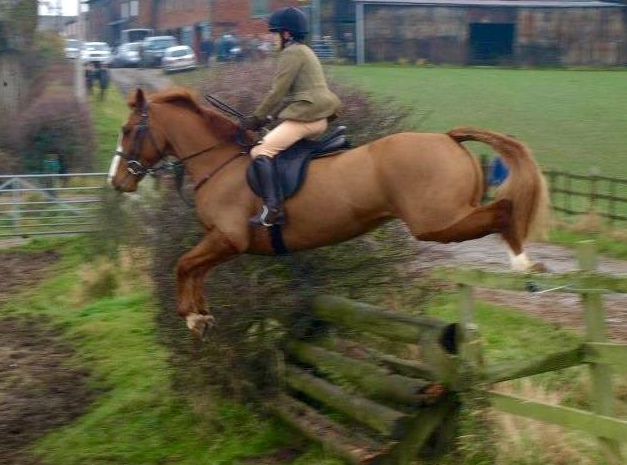 Screen Shot 2016-01-18 at 15.53.23