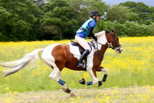 Screen Shot 2016-01-18 at 16.07.39