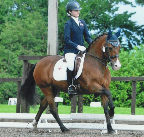 Screen Shot 2016-01-18 at 16.32.30