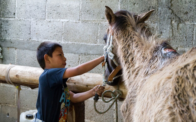 Guatemala_November2015-14