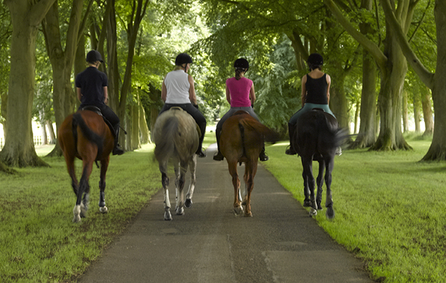 Luknam-Equestrian-L_023817