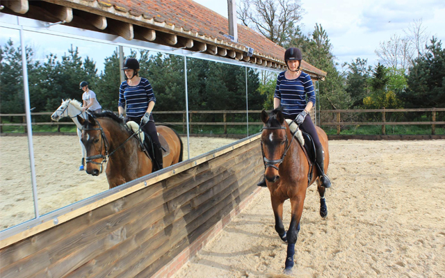 MIrrors-for-training