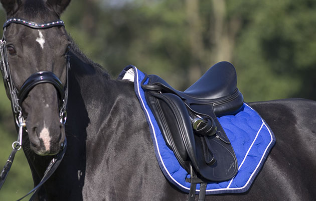 Paddock Sports Saddlecloth From Dressage Deluxe