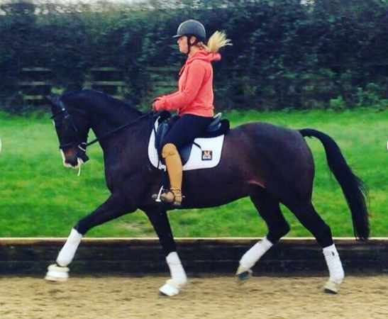 Screen Shot 2016-02-10 at 10.59.55