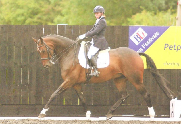 Screen Shot 2016-02-10 at 11.03.12