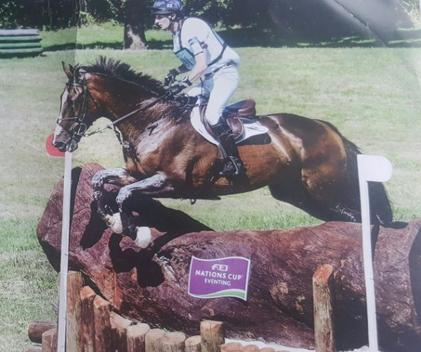 7 horses for sale with hefty price tags Horse & Hound