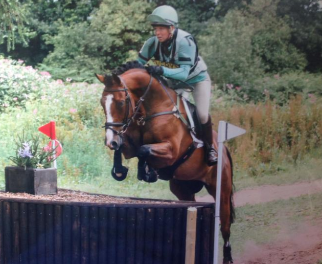 Screen Shot 2016-02-10 at 11.10.31